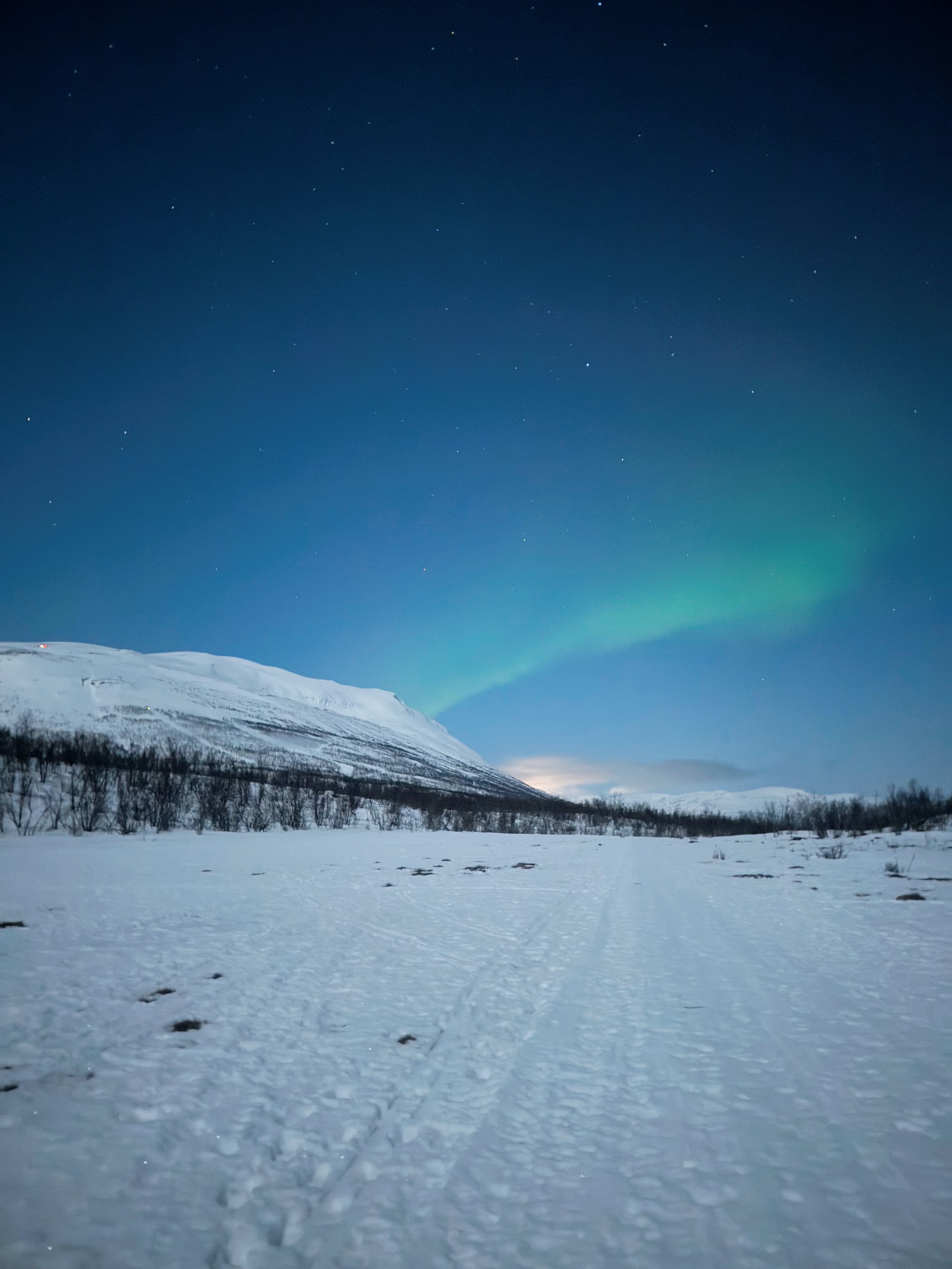 Abisko National Park